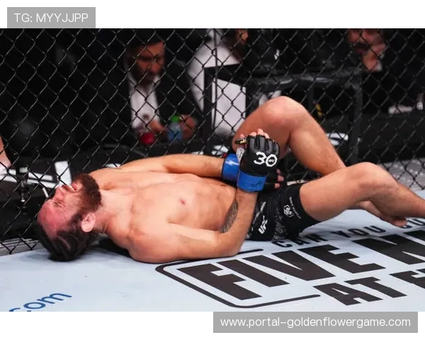 彼得·严终结梅拉布·德瓦利什维利14连胜,二夺雏量级冠军 彼得·严终结梅拉布·德瓦利什维利14连胜,二夺雏量级冠军